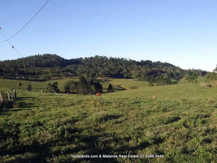 Main view of Homely rural property listing, LS278/33 East Evelyn Road, Millaa Millaa QLD 4886