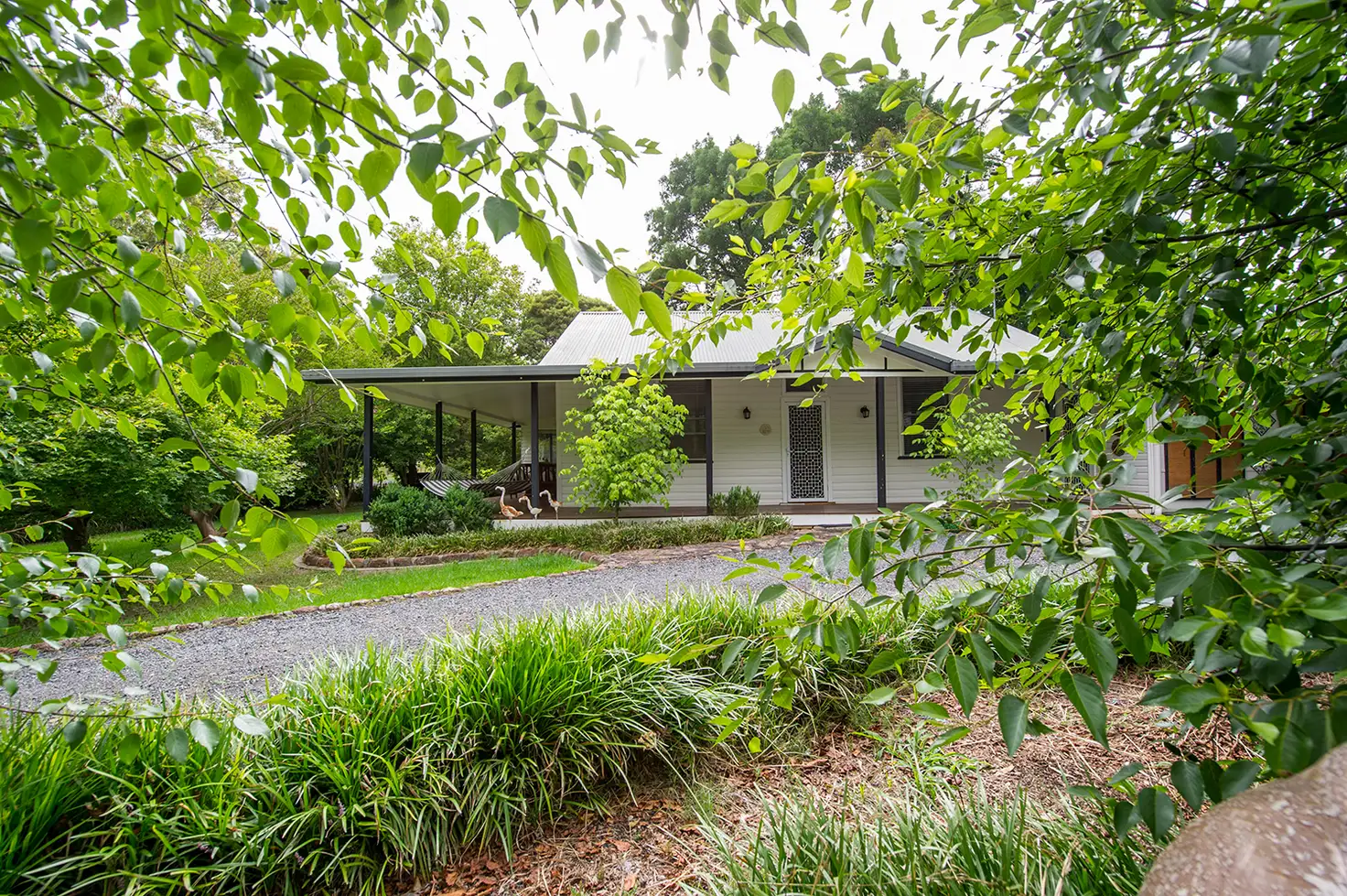 Main view of Homely house listing, 35 White Street, Blandford NSW 2338