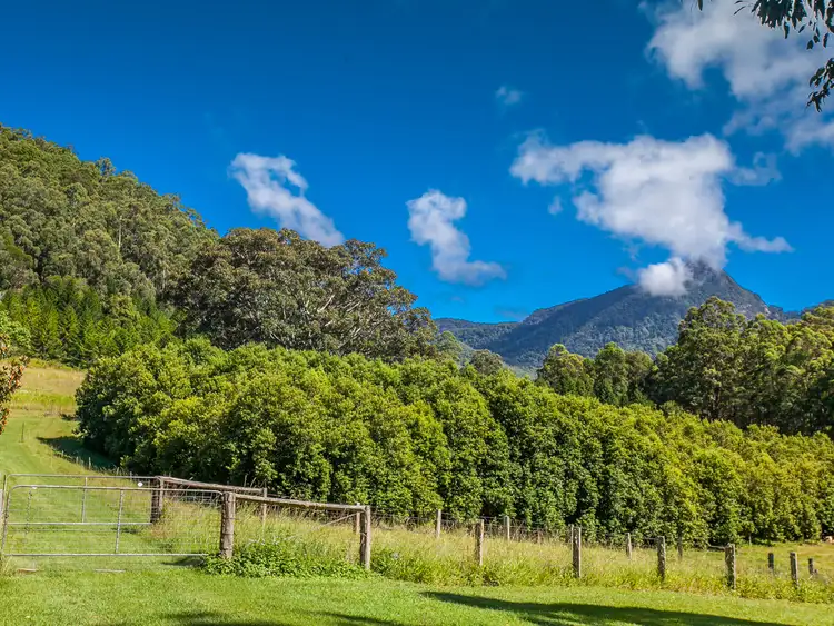 Seventh view of Homely house listing, 1787 Kyogle Road, Uki NSW 2484