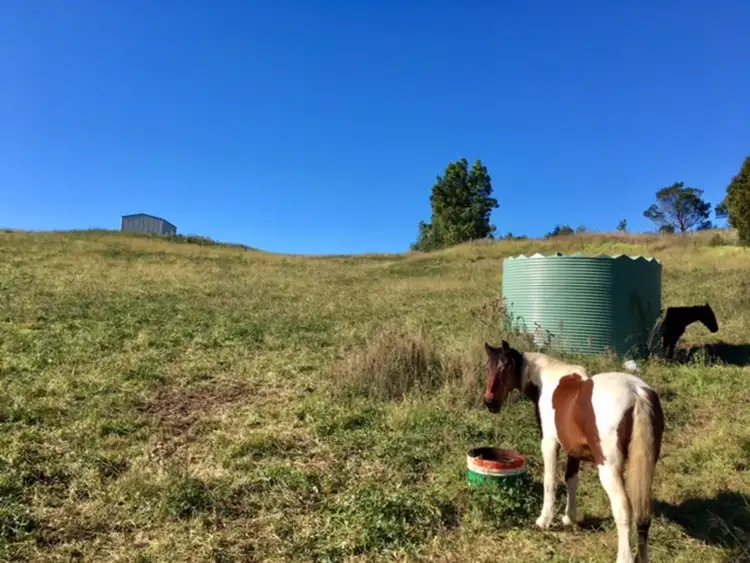 Third view of Homely land listing, 2004 Myrtle Mountain Road, Candelo NSW 2550