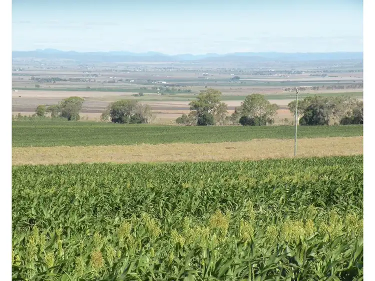 Second view of Homely rural property listing, Lot 2252 Doolan Road, Nobby QLD 4360