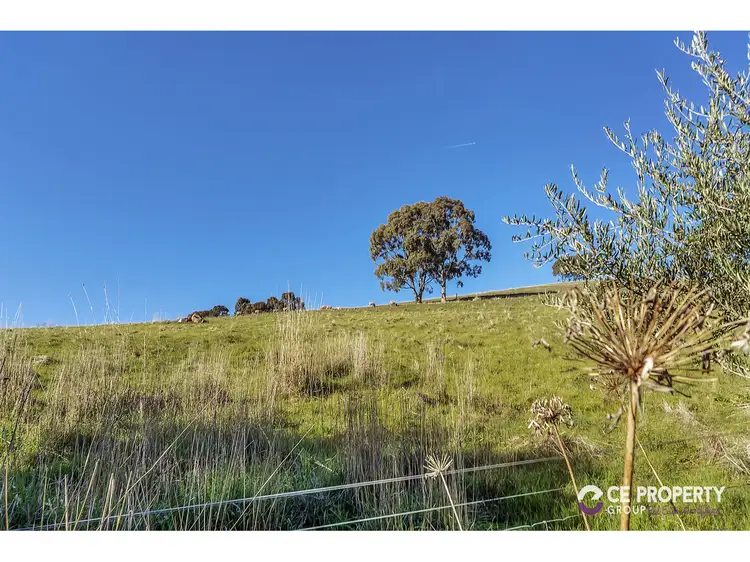 Sixth view of Homely house listing, 133 Goulds Creek Road, One Tree Hill SA 5114
