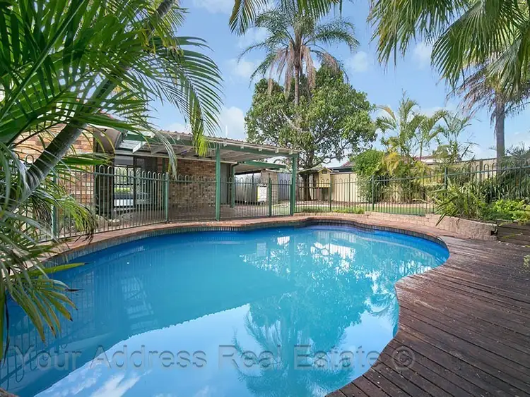 Third view of Homely house listing, 41 Kertes Road, Camira QLD 4300