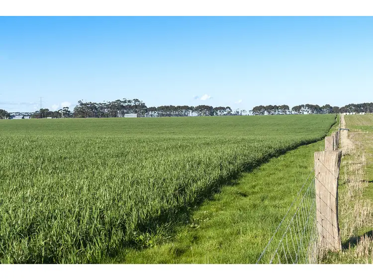Fourth view of Homely rural property listing, 1101 Gnarpurt Road, Lismore VIC 3324