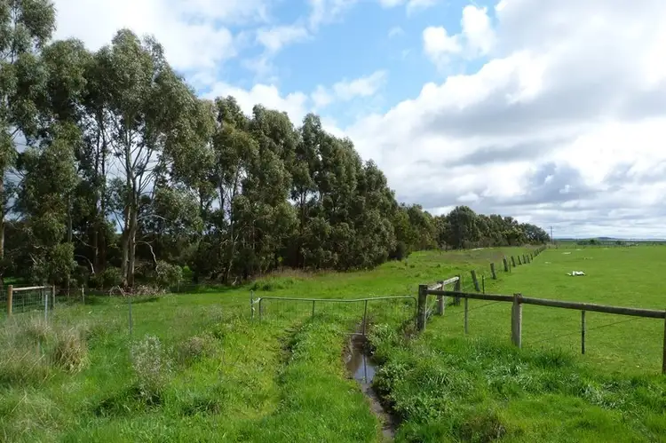 Fifth view of Homely rural property listing, 28-40 Ryans Road, Pirron Yallock VIC 3249
