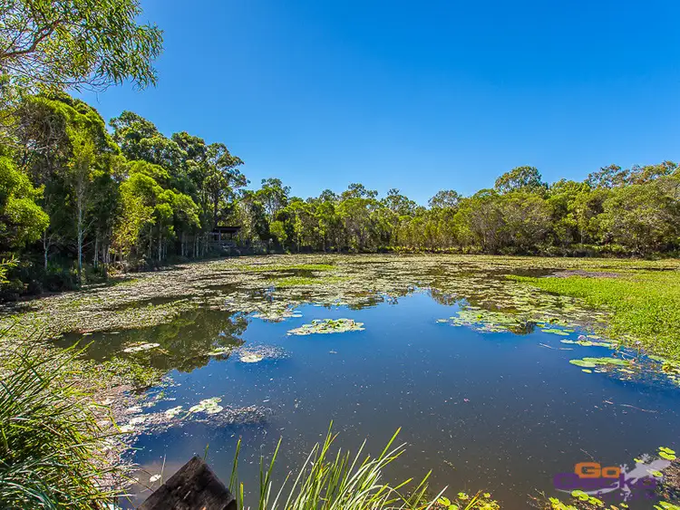 Second view of Homely house listing, 24 Whitecedar Circuit, North Lakes QLD 4509
