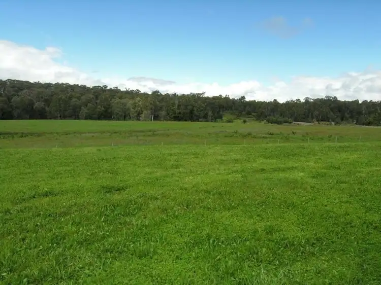 Second view of Homely house listing, 4540 Mansfield Whitfield Road, Tolmie VIC 3723