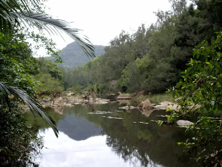 Third view of Homely rural property listing, 135 Mt Warning Road, Mount Warning NSW 2484
