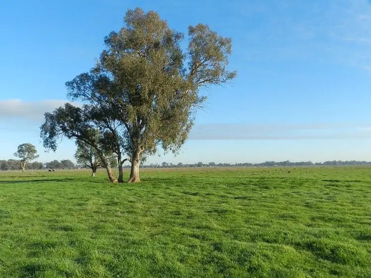 Third view of Homely rural property listing, 131 Thompsons Road, Tallygaroopna VIC 3634