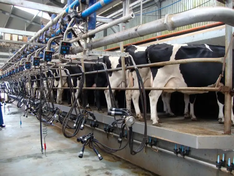 Seventh view of Homely rural property listing, 680 Wiridgil Lane, Camperdown VIC 3260