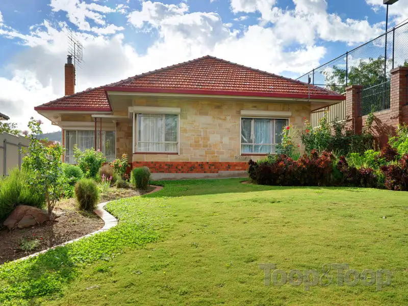 Main view of Homely house listing, 19 Burton Road, Athelstone SA 5076