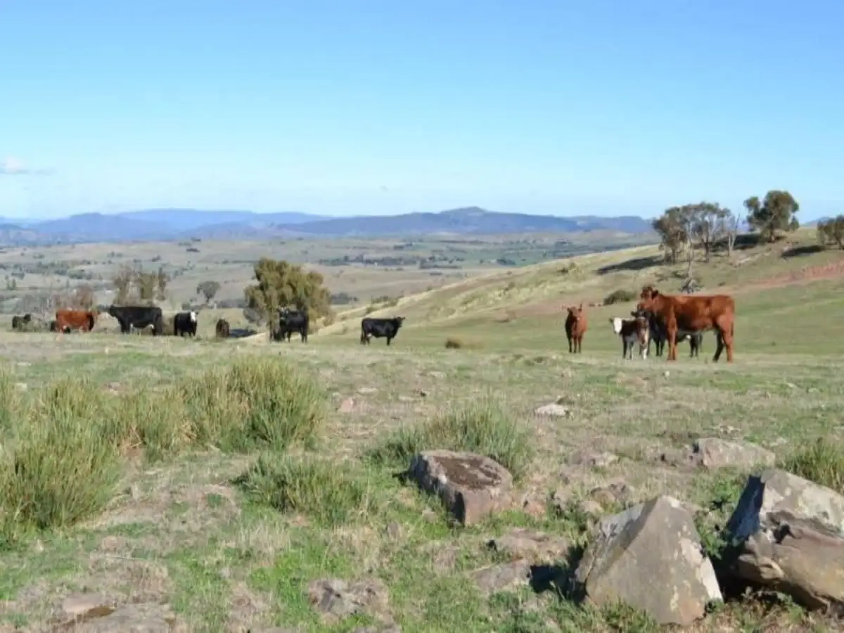 Main view of Homely land listing, LOT 61A McCormacks Lane, Merrijig VIC 3723