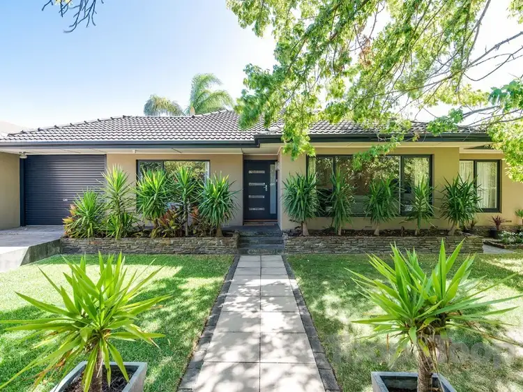 20 Talbot Grove, Heathpool SA 5068