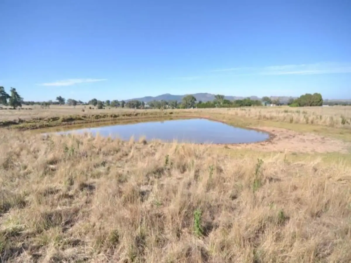 Main view of Homely rural property listing, 263 Mount Battery Road, Mansfield VIC 3722