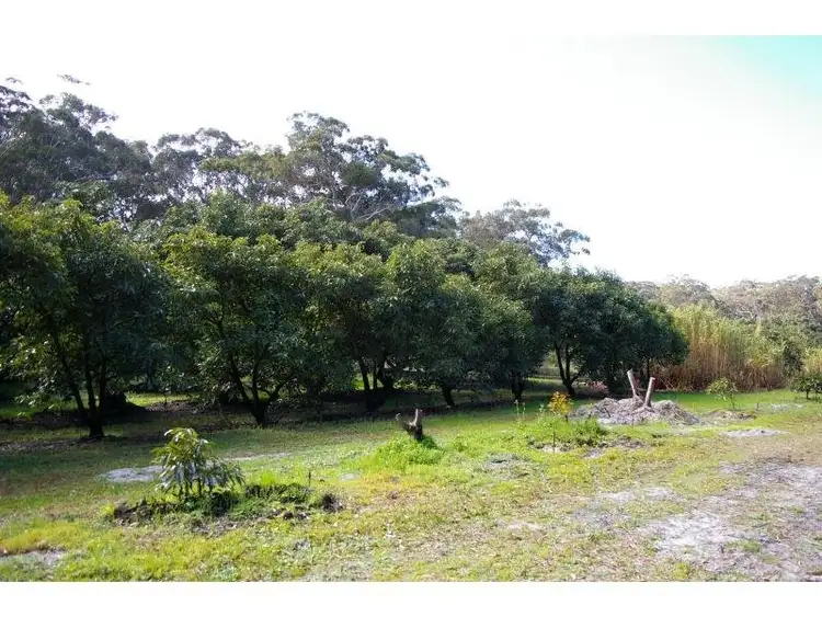 Sixth view of Homely land listing, 3321 Nelson Bay Road, Bobs Farm NSW 2316