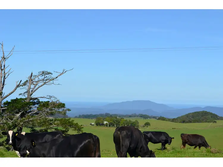 Fifth view of Homely rural property listing, Address available on request