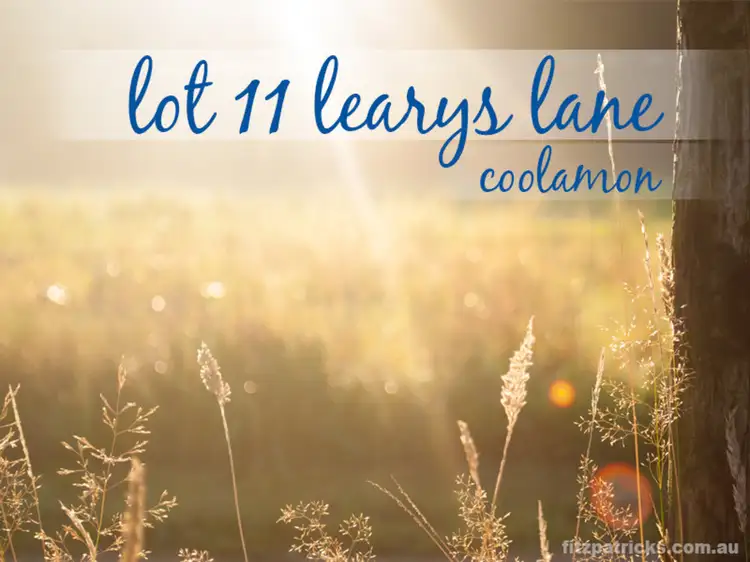 Lot 11 Learys Lane, Coolamon NSW 2701