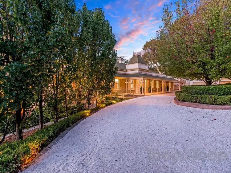 Sixth view of Homely house listing, 19 Nilpinna Street, Burnside SA 5066