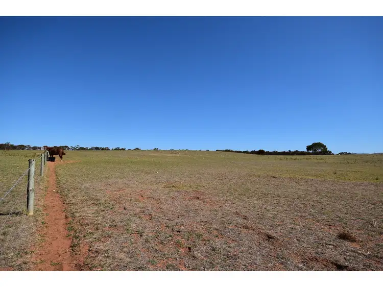 Fifth view of Homely rural property listing, 22 Redbank Road, Cambrai SA 5353
