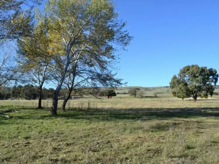 Fifth view of Homely rural property listing, LOT 2, 217 Desmonds Lane, Mansfield VIC 3722