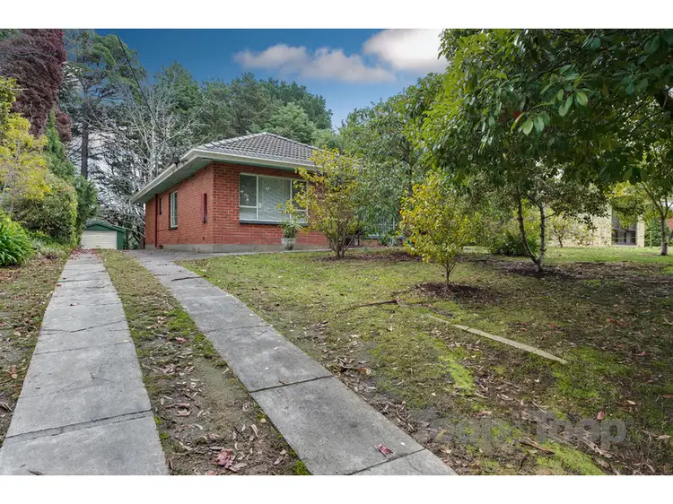 Main view of Homely house listing, 16 Ethel Street, Stirling SA 5152