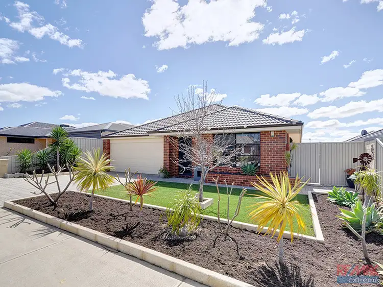 Third view of Homely house listing, 141 Shiraz Boulevard, Pearsall WA 6065
