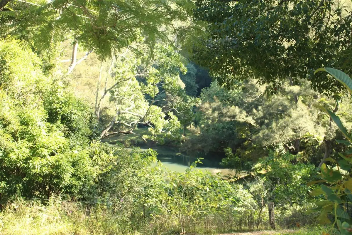 Main view of Homely house listing, 1278 Numinbah Road, Chillingham NSW 2484