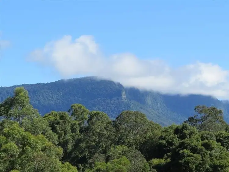 Fourth view of Homely rural property listing, 6/929 Blue Knob Road, Blue Knob NSW 2480
