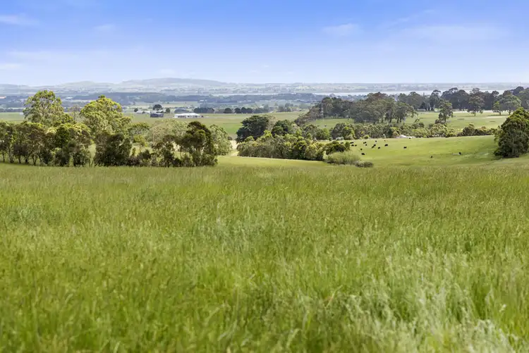 Sixth view of Homely rural property listing, 245 Christies Road, Elliminyt VIC 3250