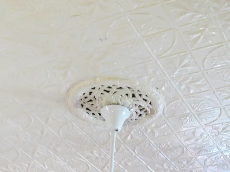 Sixth view of Homely house listing, 15 Tuson Street, Wandal QLD 4700