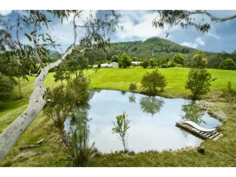Third view of Homely rural property listing, 413 Johnsens Road, Dorrigo NSW 2453