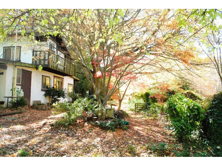 Seventh view of Homely rural property listing, 'Halali' 9 McLean Lane, Orange NSW 2800