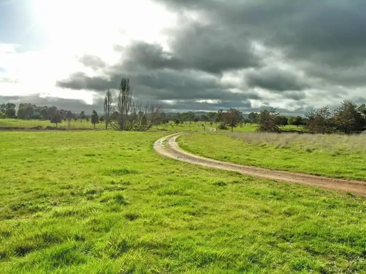 Fifth view of Homely house listing, 545 Mt Buller Road, Mansfield VIC 3722