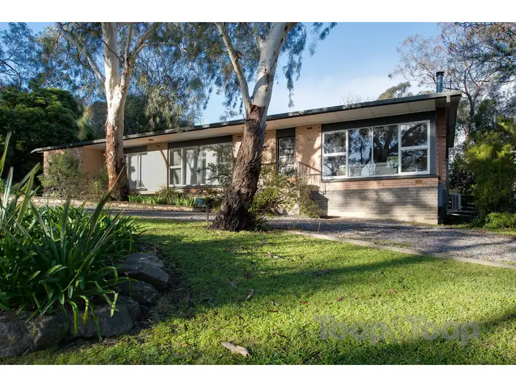 Main view of Homely house listing, 21 Lindsay Terrace, Belair SA 5052