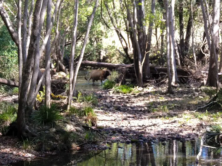 Second view of Homely rural property listing, 48 Doon Doon Road, Kunghur NSW 2484