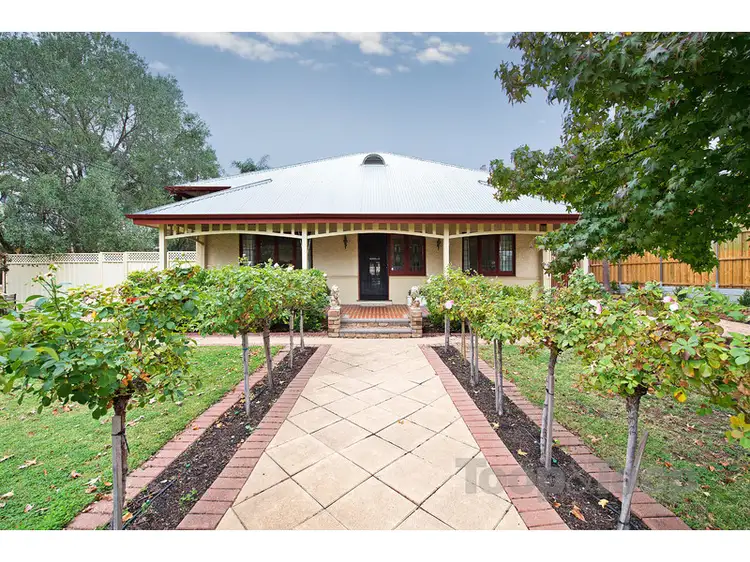 8 May Terrace, Kensington Park SA 5068