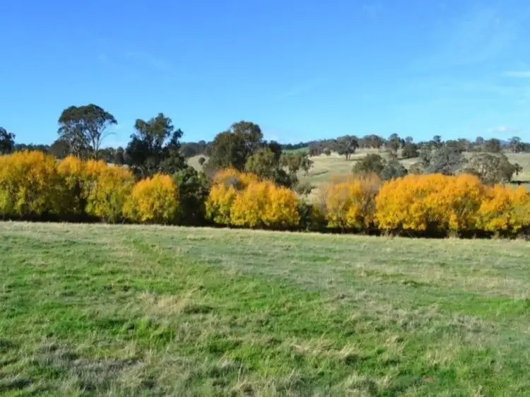 Fourth view of Homely land listing, 150 Gonzaga Lane, Merrijig VIC 3723