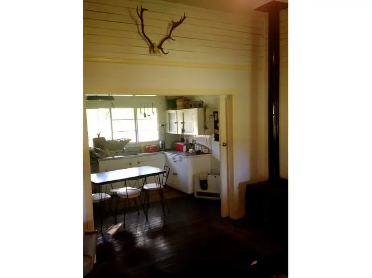 Fifth view of Homely rural property listing, 275 darkwood Road, Bellingen NSW 2454