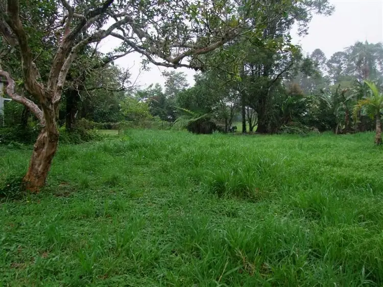 Fourth view of Homely land listing, LOT L161/L208 Dirran Street, Millaa Millaa QLD 4886