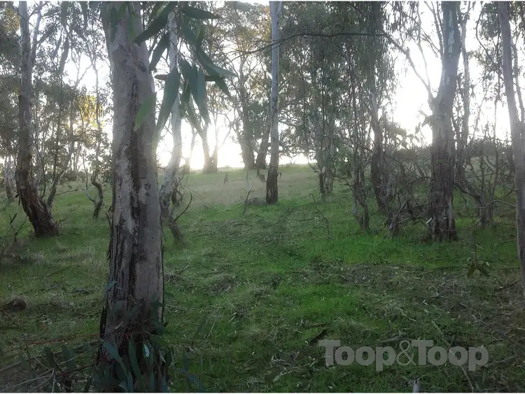 Third view of Homely land listing, Section 5668 Norman Road, Yatala Vale SA 5126