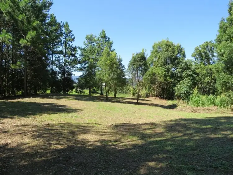 Second view of Homely rural property listing, 649 Tomewin Road, Tomewin NSW 2484