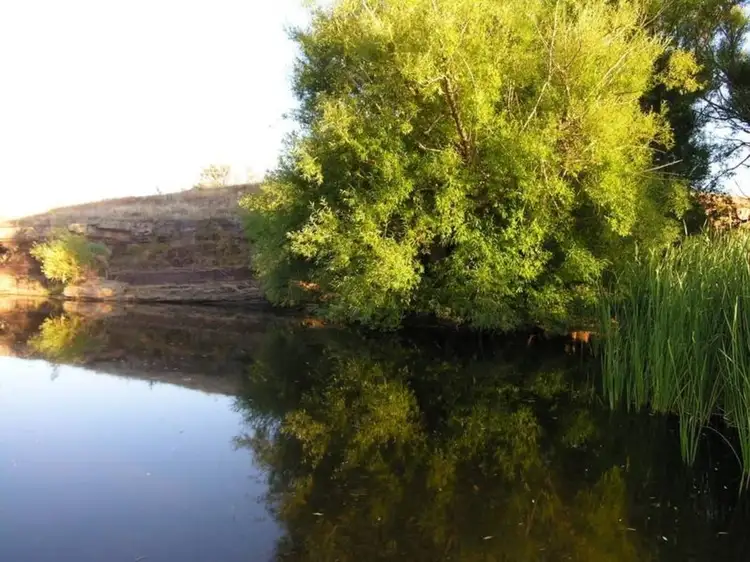Third view of Homely rural property listing, 260 Saligari Road, Mansfield VIC 3722