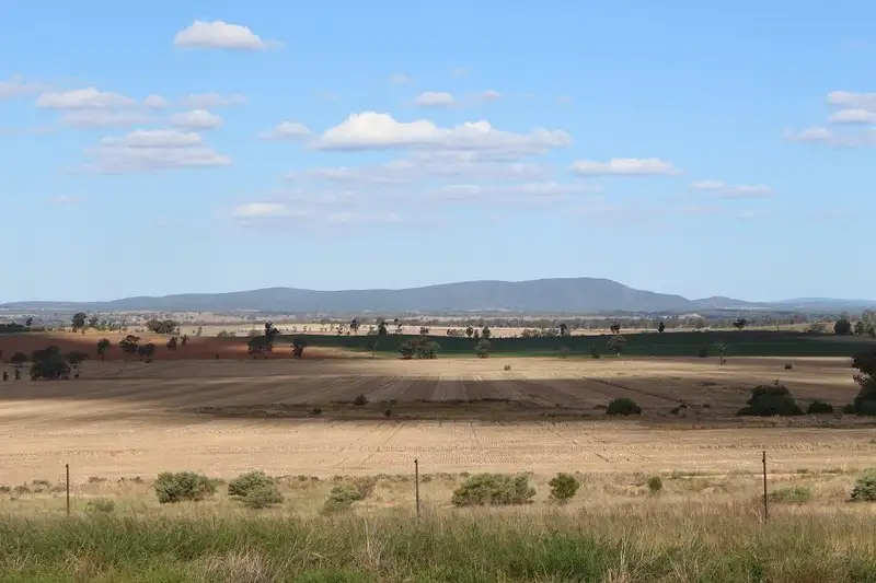 Main view of Homely rural property listing, 1506 Newell Highway, Forbes NSW 2871