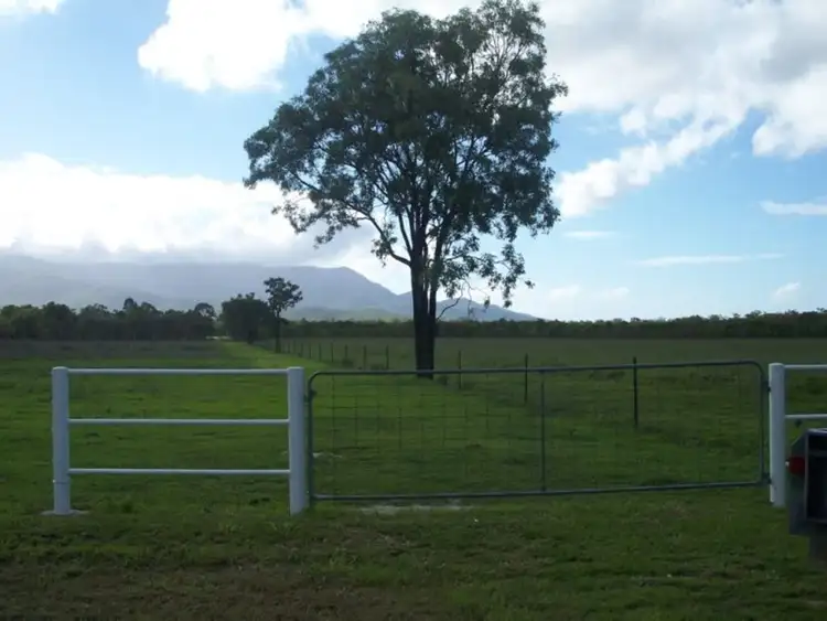 Sixth view of Homely rural property listing, 133 East Mary Road, Mount Carbine QLD 4871