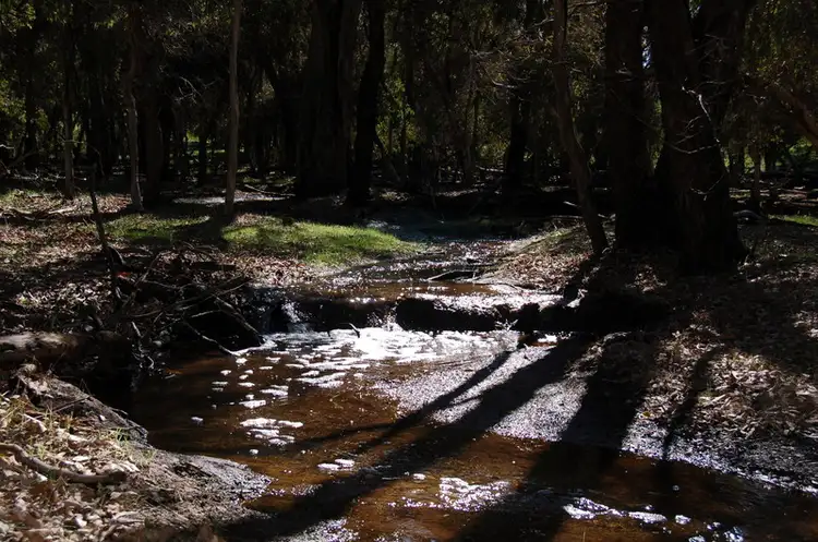 Third view of Homely rural property listing, 142 Dexter Chase, Lower Chittering WA 6084