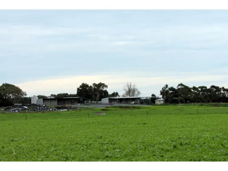 Third view of Homely rural property listing, 515 Tomahawk Creek Rd, Irrewillipe VIC 3249