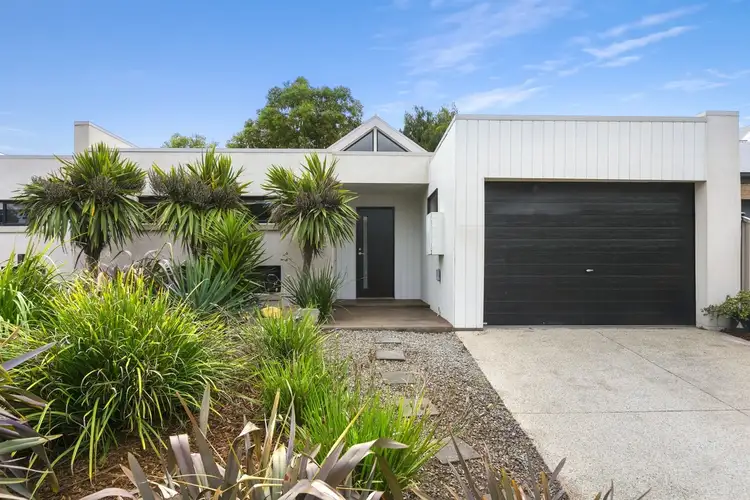 6A Murphy Mews, Torquay VIC 3228
