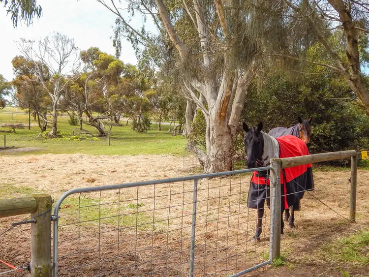 Second view of Homely rural property listing, 21-37 Kestrel Court, Boston SA 5607