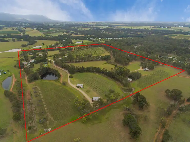 111 Halls Road, Pokolbin NSW 2320
