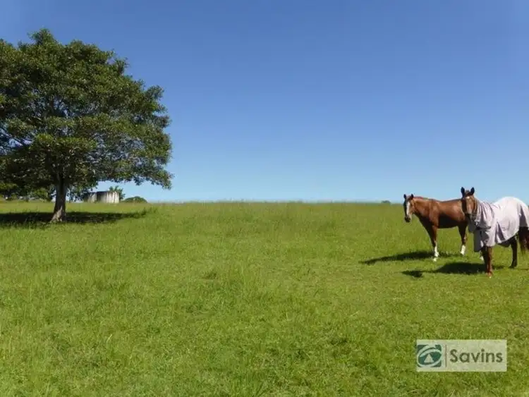 Fourth view of Homely rural property listing, 245 Clovass Road, Clovass NSW 2480